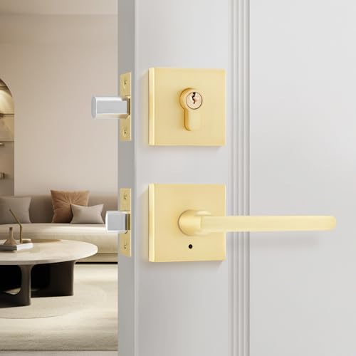 Leydebong Gold Entry Door Handle Set