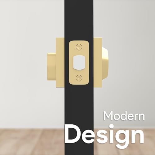 Sleek Square Entry Deadbolt Lock