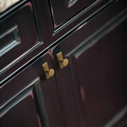 Goo-Ki 6-Piece Antique Brass Knobs with Backplates - Luxury Cabinet Handles