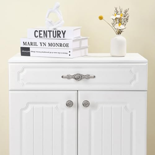 Round Knobs with Backplates for Cabinets 10-Piece Set