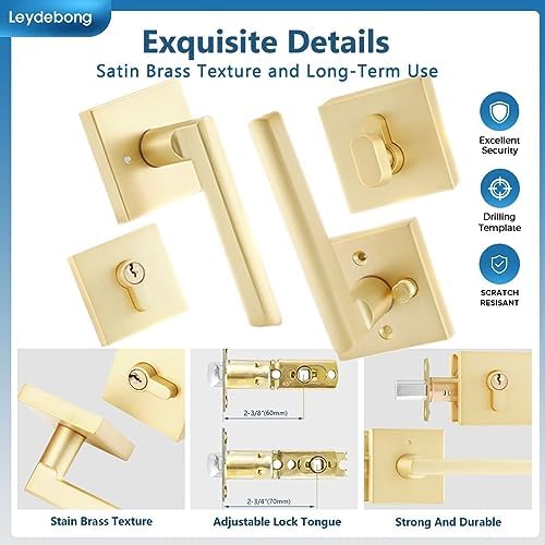 Leydebong Gold Entry Door Handle Set